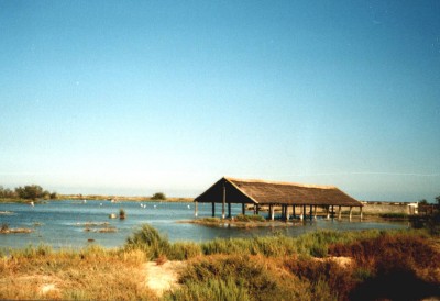 Zum Bild in Originalgr��e hier klicken...