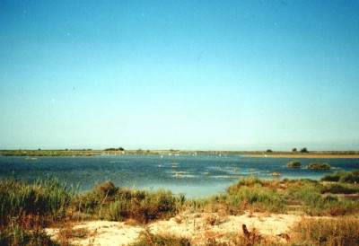 Zum Bild in Originalgr��e hier klicken...