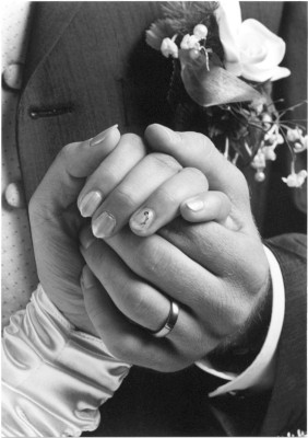 Zum Bild in Originalgr��e hier klicken...