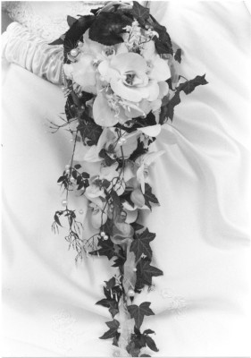 Zum Bild in Originalgr��e hier klicken...