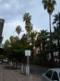 antalya02 * AntalyaAtat�rk-Boulevard * 1704 x 2272 * (698KB)